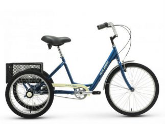 Raleigh Tristar 3 Speed Blue @ Dewitt Bikeworks, Michigan- Authorized Raleigh Dealer